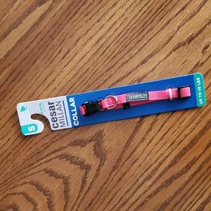 Cesar Millan Dog Collar